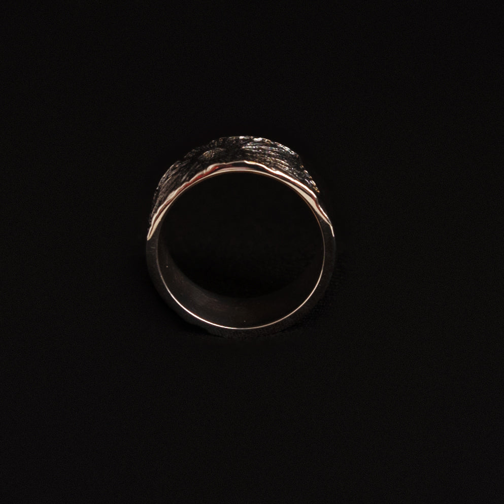 dark cosmic ring band