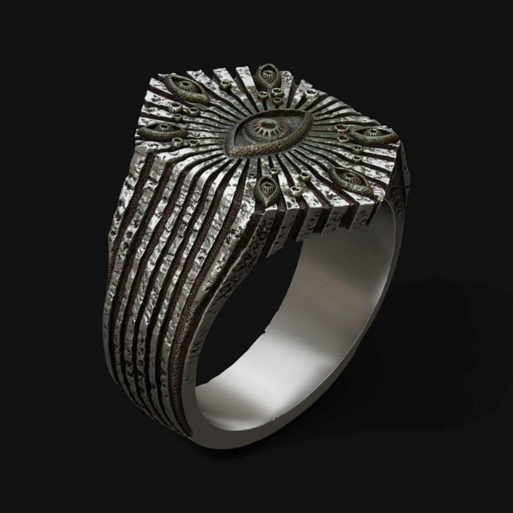 The Eye of Plurality